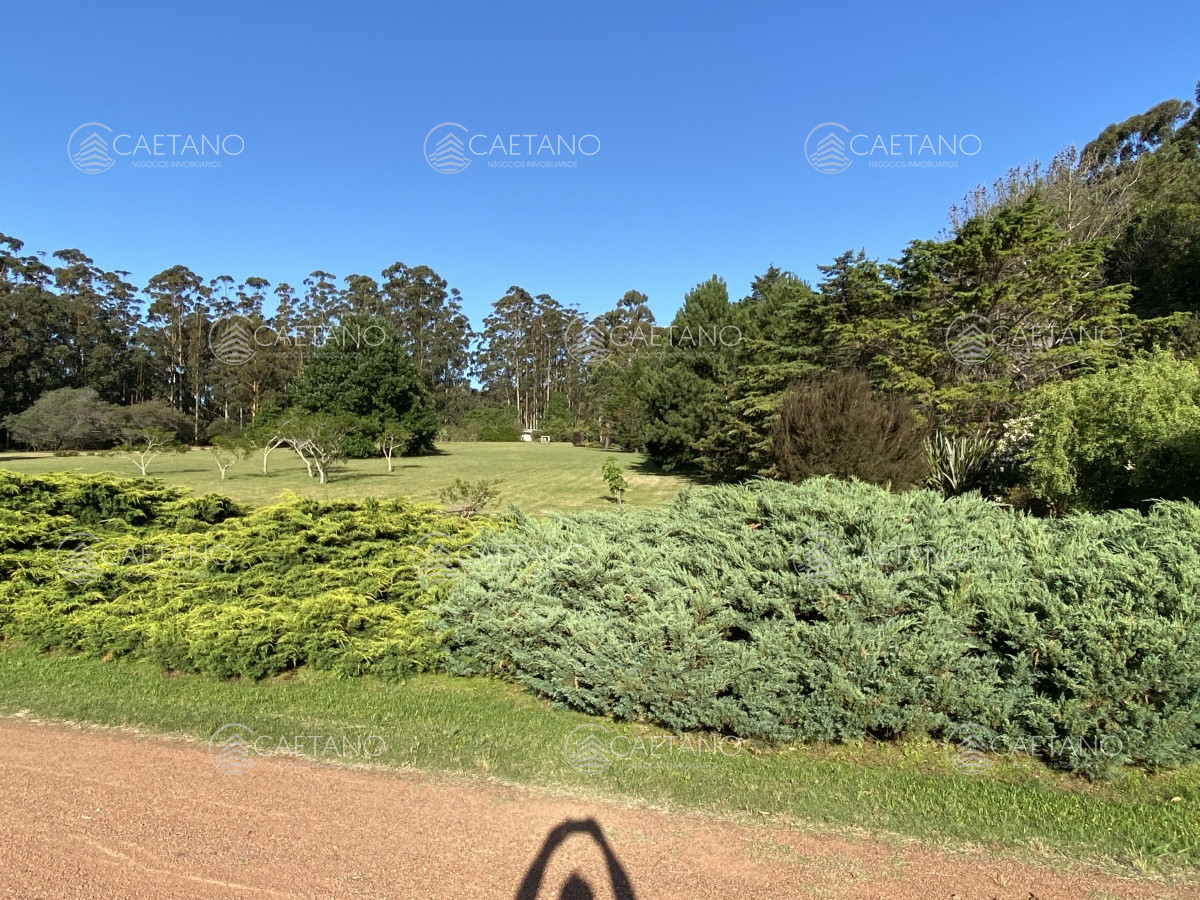 Laguna del Sauce - GoPunta - Portal Inmobiliario de Punta del Este - Maldonado