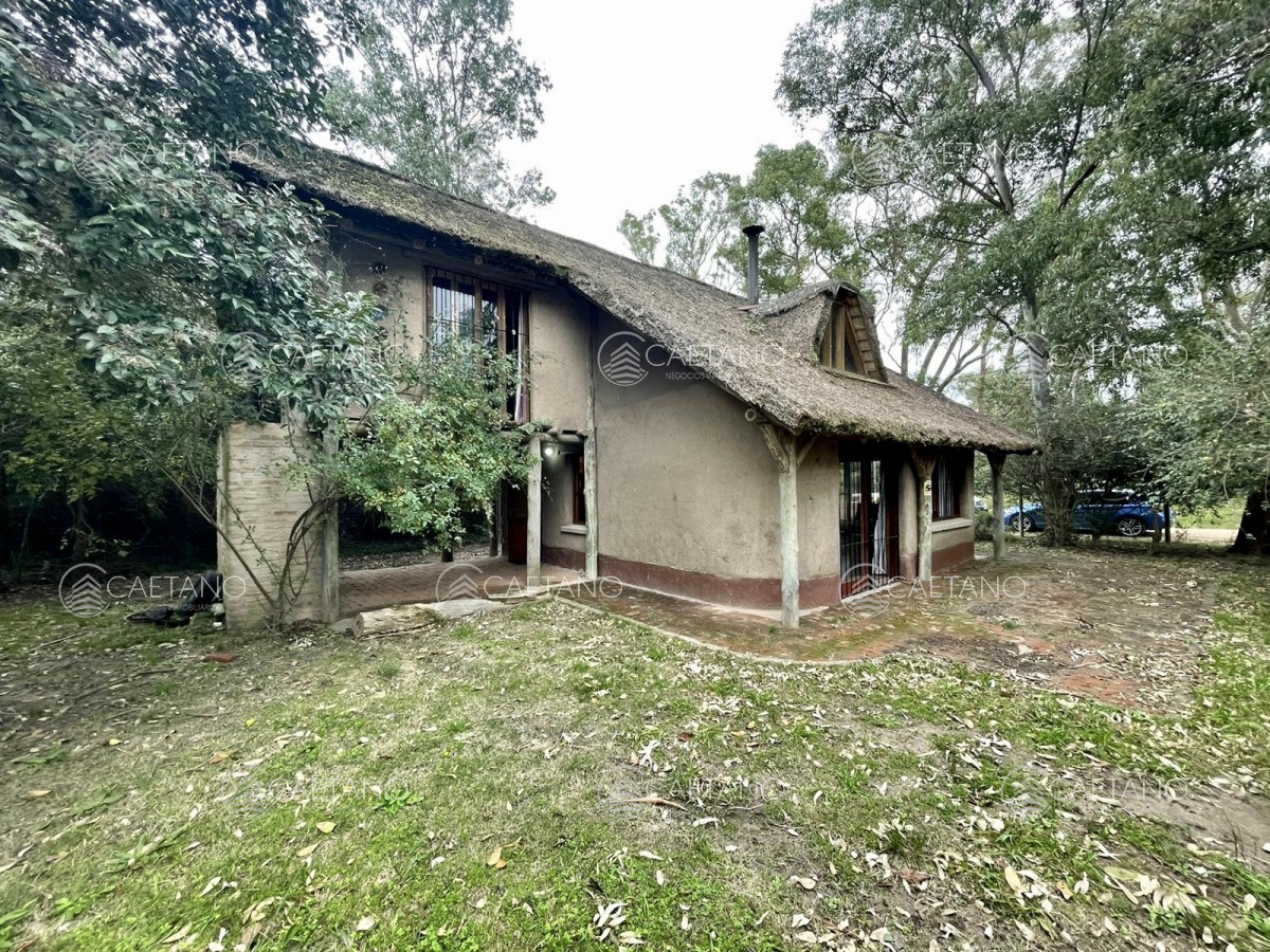 Balneario Buenos Aires - GoPunta - Portal Inmobiliario de Punta del Este - Maldonado