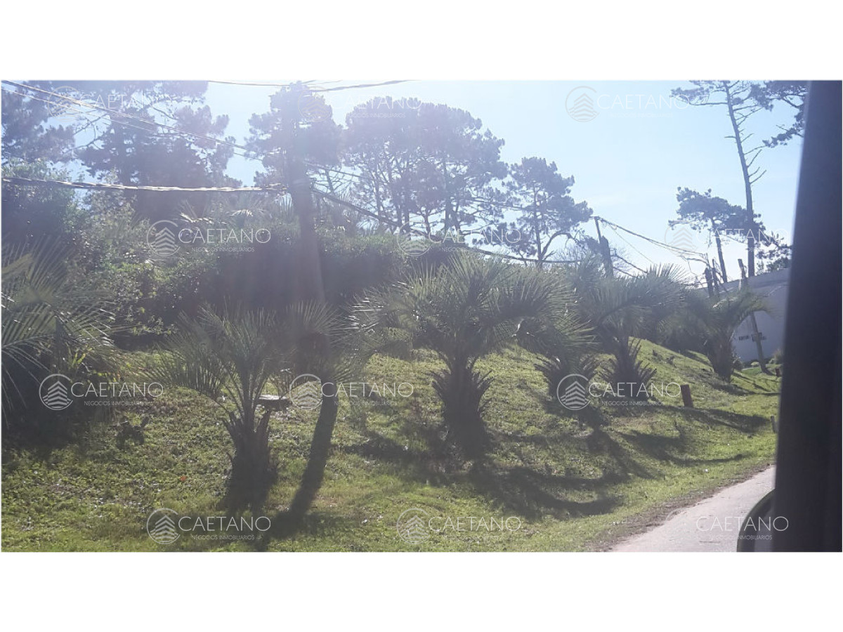 Bo. Córdoba - GoPunta - Portal Inmobiliario de Punta del Este - Maldonado
