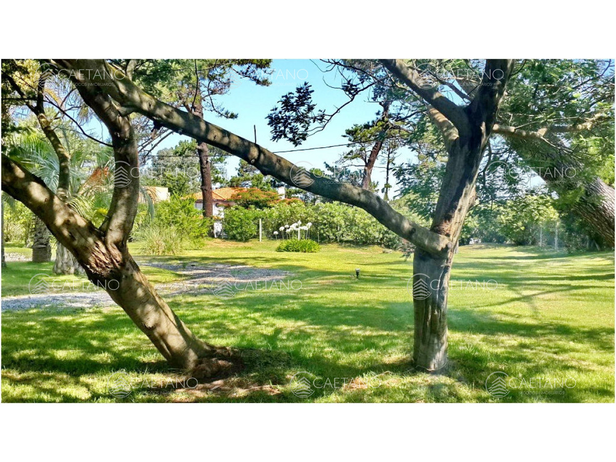 Rincón del Indio - GoPunta - Portal Inmobiliario de Punta del Este - Maldonado