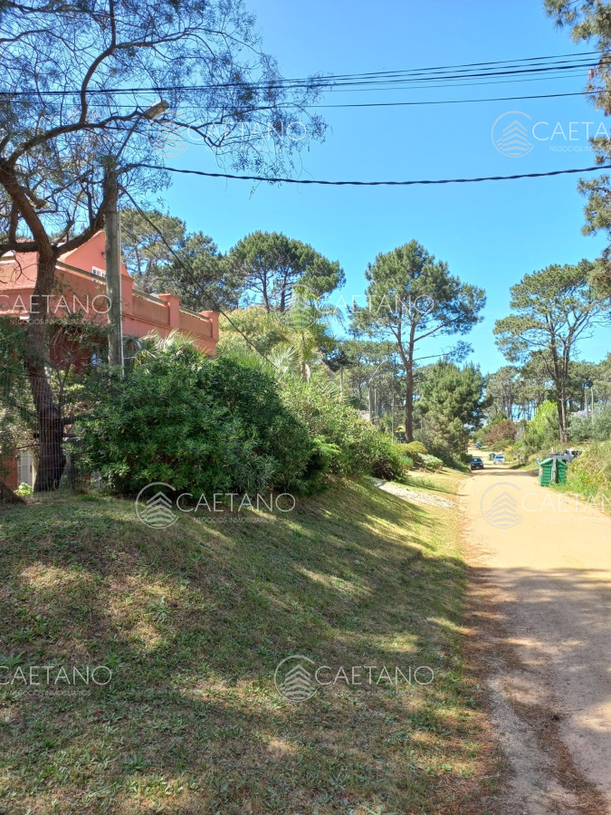 Montoya - GoPunta - Portal Inmobiliario de Punta del Este - Maldonado