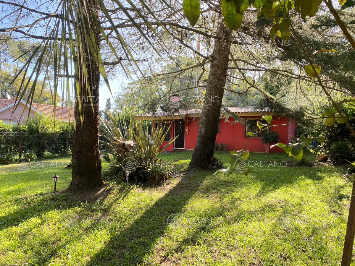 Punta Ballena - GoPunta - Portal Inmobiliario de Punta del Este - Maldonado
