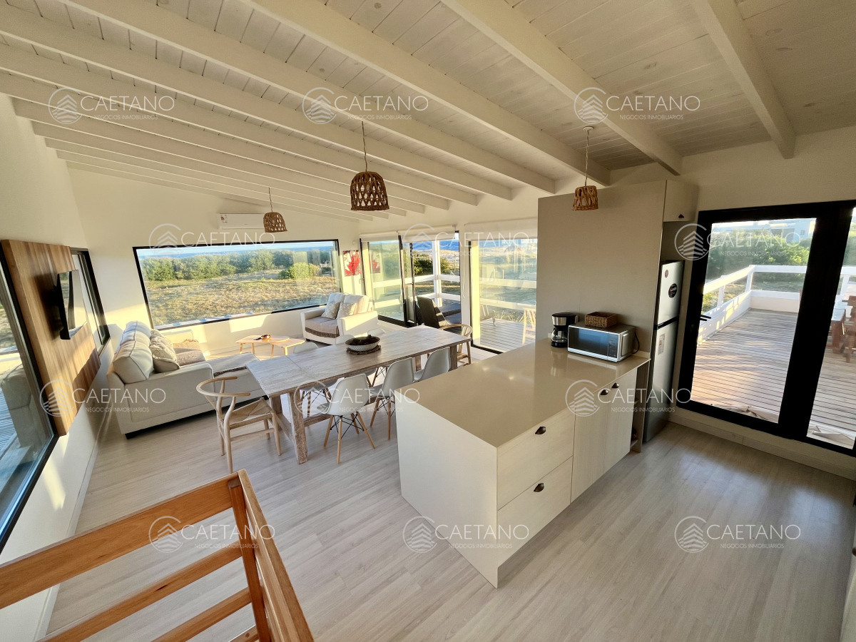 Chihuahua - GoPunta - Portal Inmobiliario de Punta del Este - Maldonado