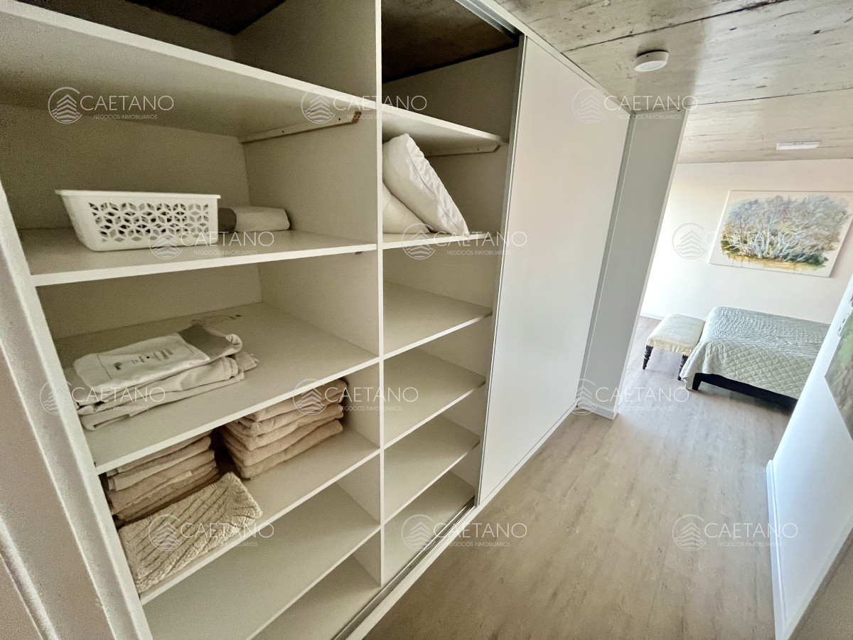 Chihuahua - GoPunta - Portal Inmobiliario de Punta del Este - Maldonado