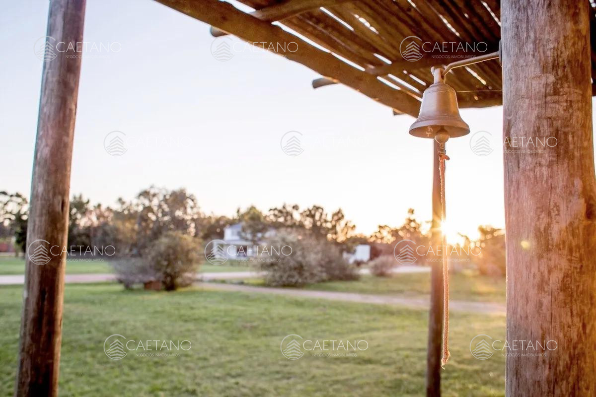 El Quijote - GoPunta - Portal Inmobiliario de Punta del Este - Maldonado