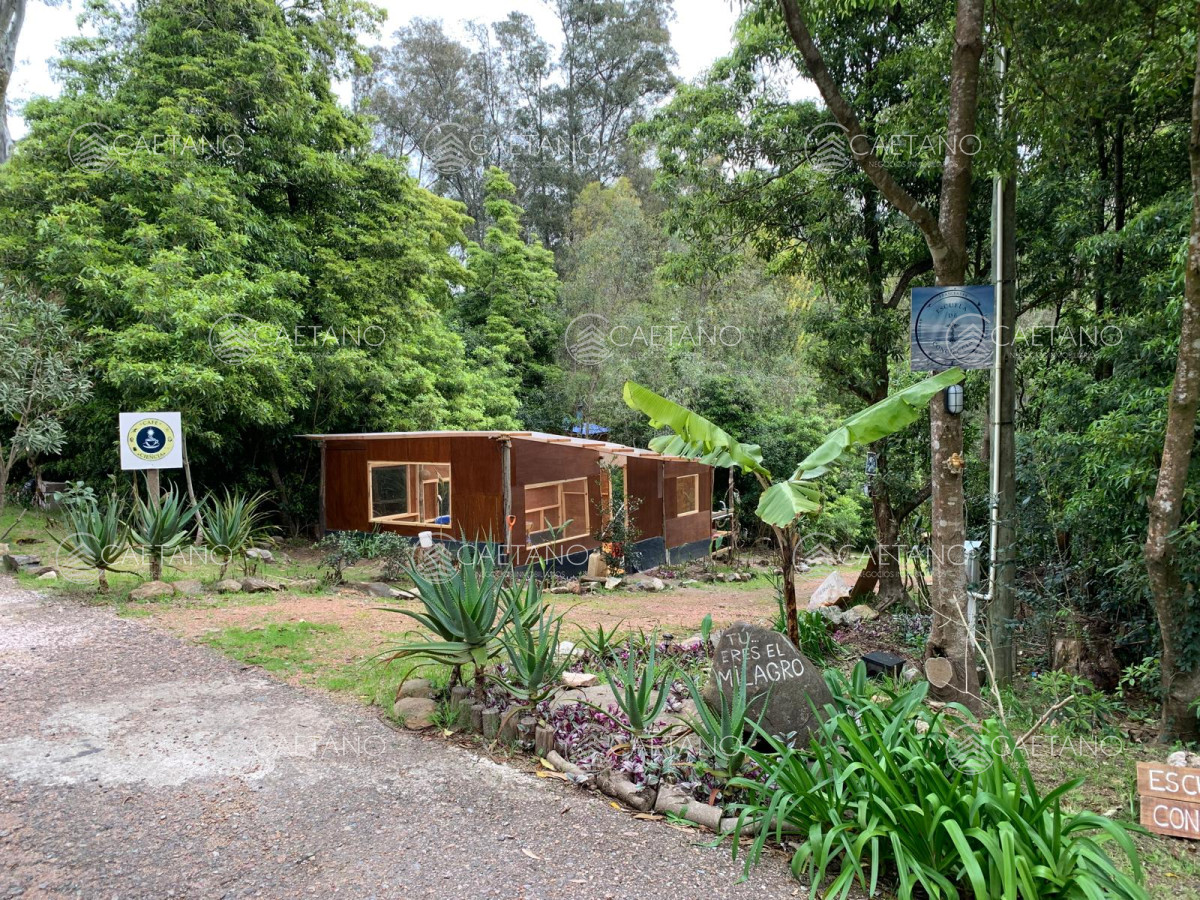 Las Cumbres - GoPunta - Portal Inmobiliario de Punta del Este - Maldonado