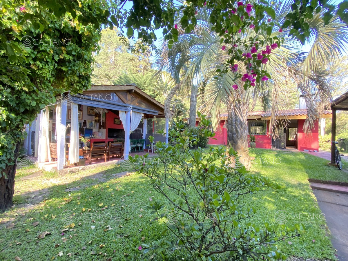 Punta Ballena - GoPunta - Portal Inmobiliario de Punta del Este - Maldonado