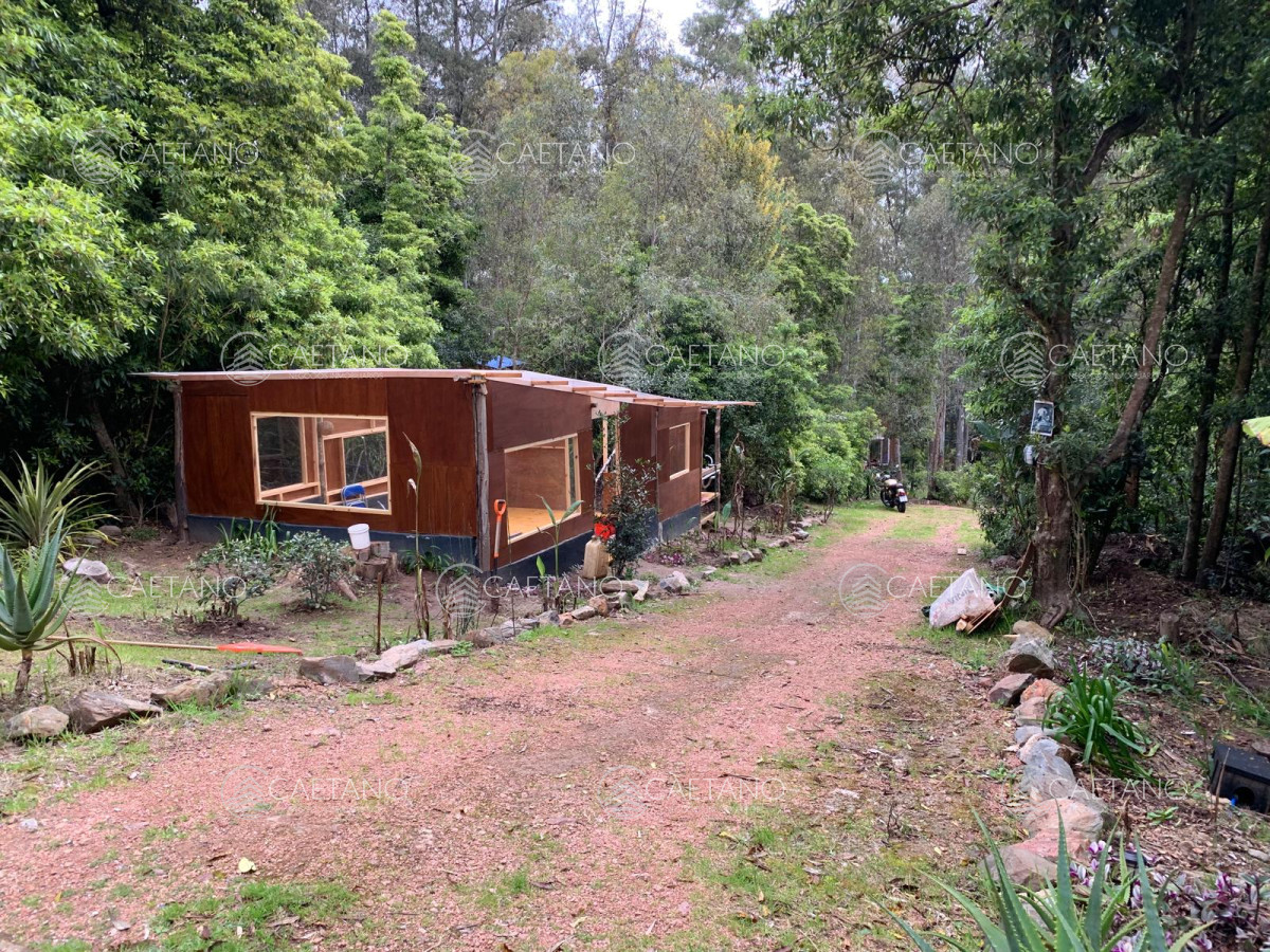 Las Cumbres - GoPunta - Portal Inmobiliario de Punta del Este - Maldonado
