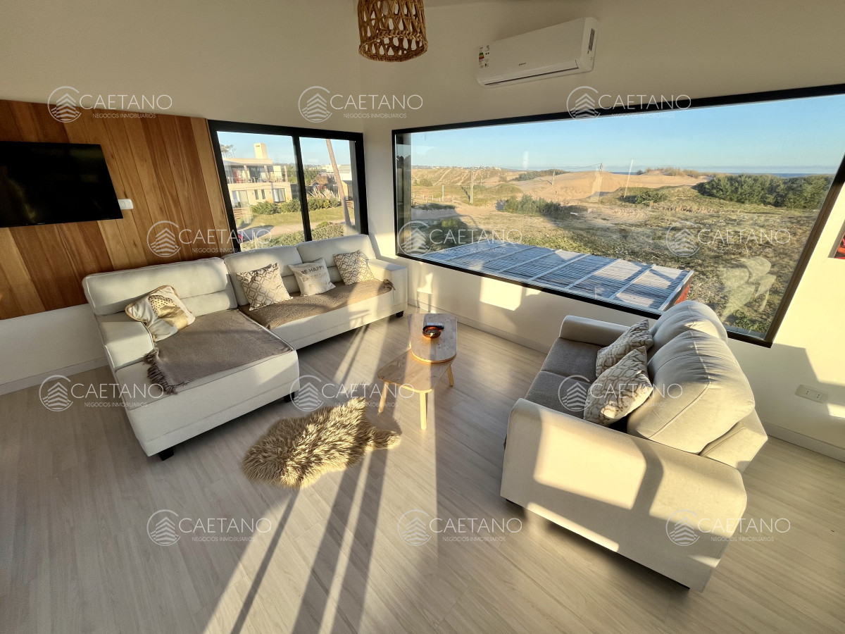 Chihuahua - GoPunta - Portal Inmobiliario de Punta del Este - Maldonado