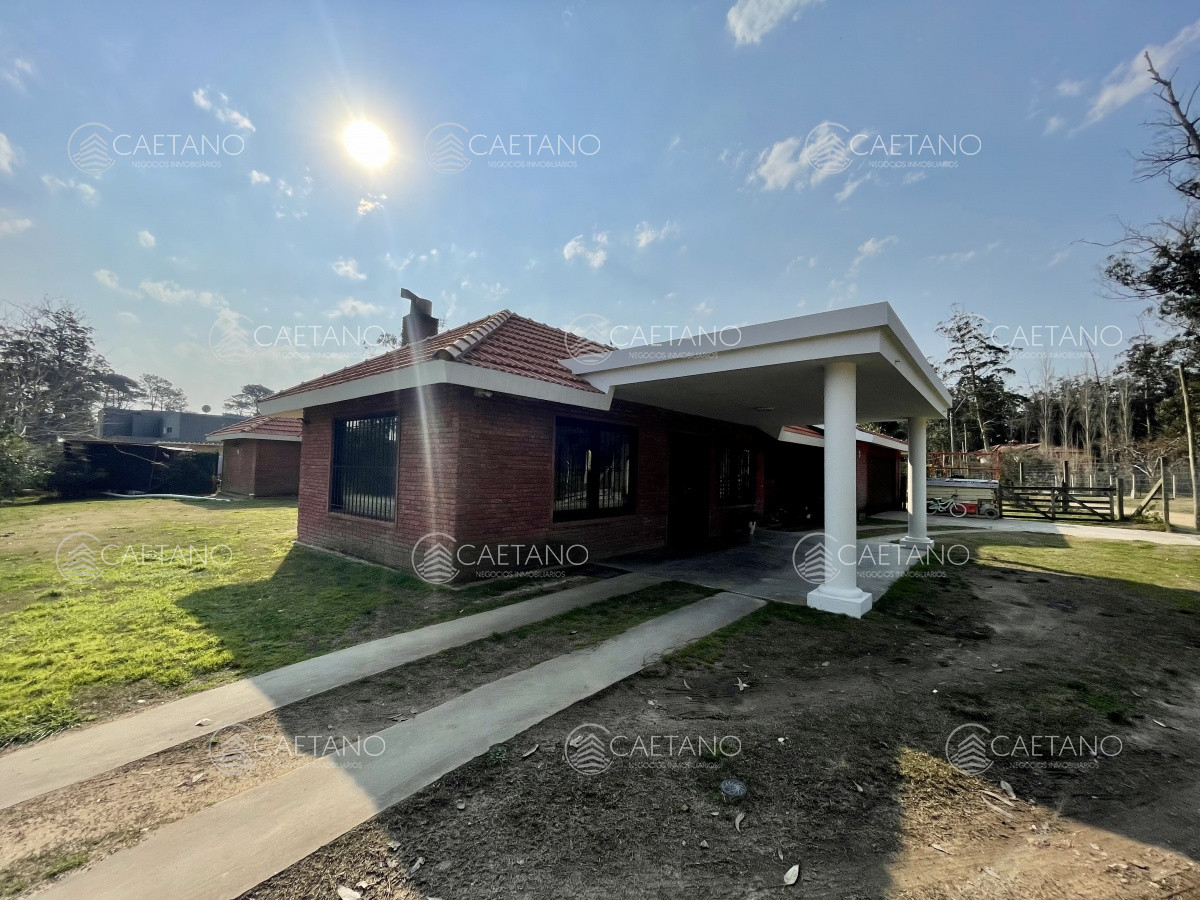 Marly - GoPunta - Portal Inmobiliario de Punta del Este - Maldonado