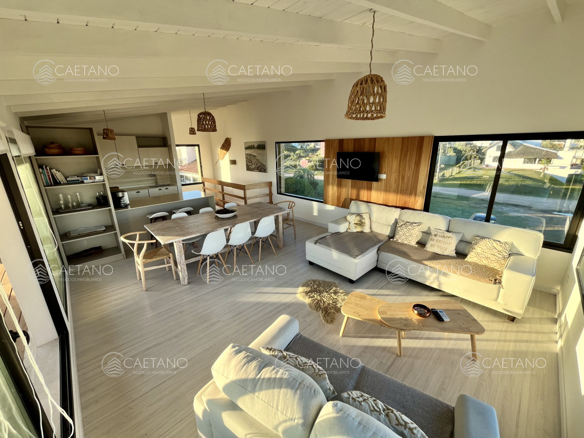 Chihuahua - GoPunta - Portal Inmobiliario de Punta del Este - Maldonado