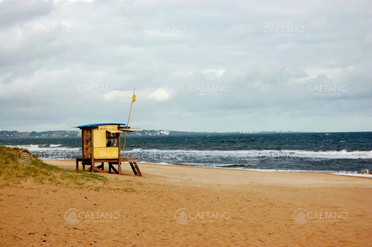 Sauce de Portezuelo - GoPunta - Portal Inmobiliario de Punta del Este - Maldonado