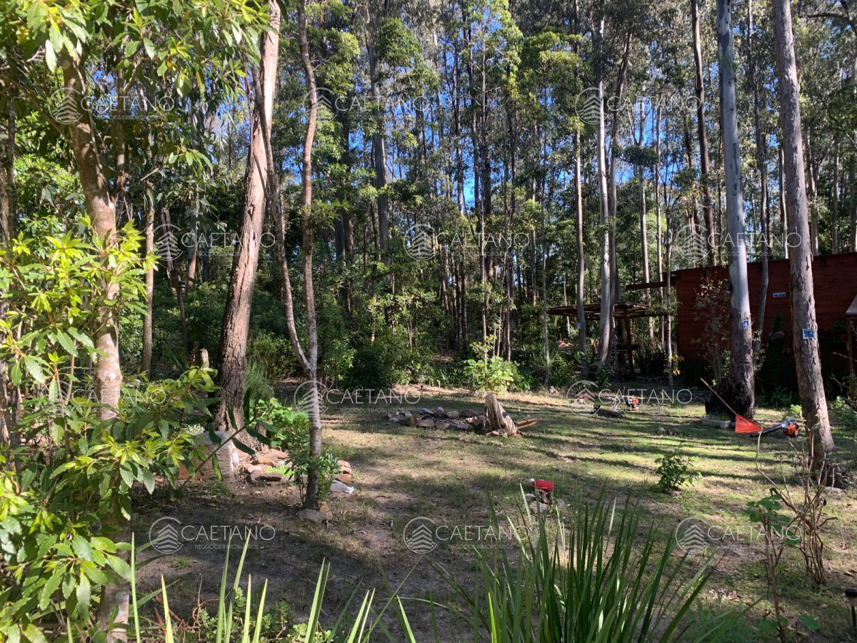Las Cumbres - GoPunta - Portal Inmobiliario de Punta del Este - Maldonado