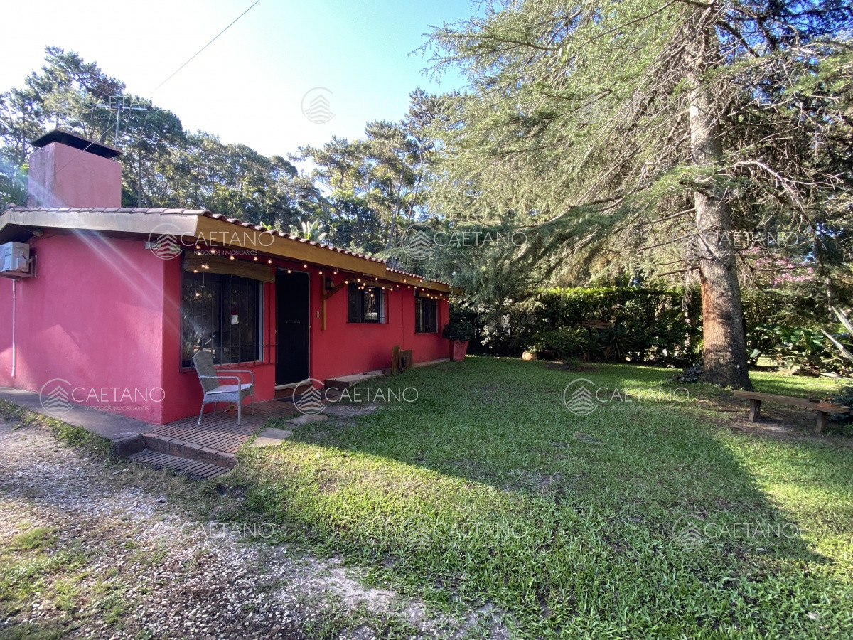Punta Ballena - GoPunta - Portal Inmobiliario de Punta del Este - Maldonado