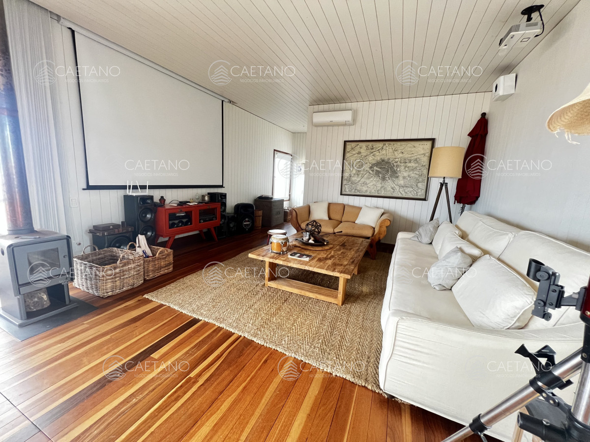 Chihuahua - GoPunta - Portal Inmobiliario de Punta del Este - Maldonado