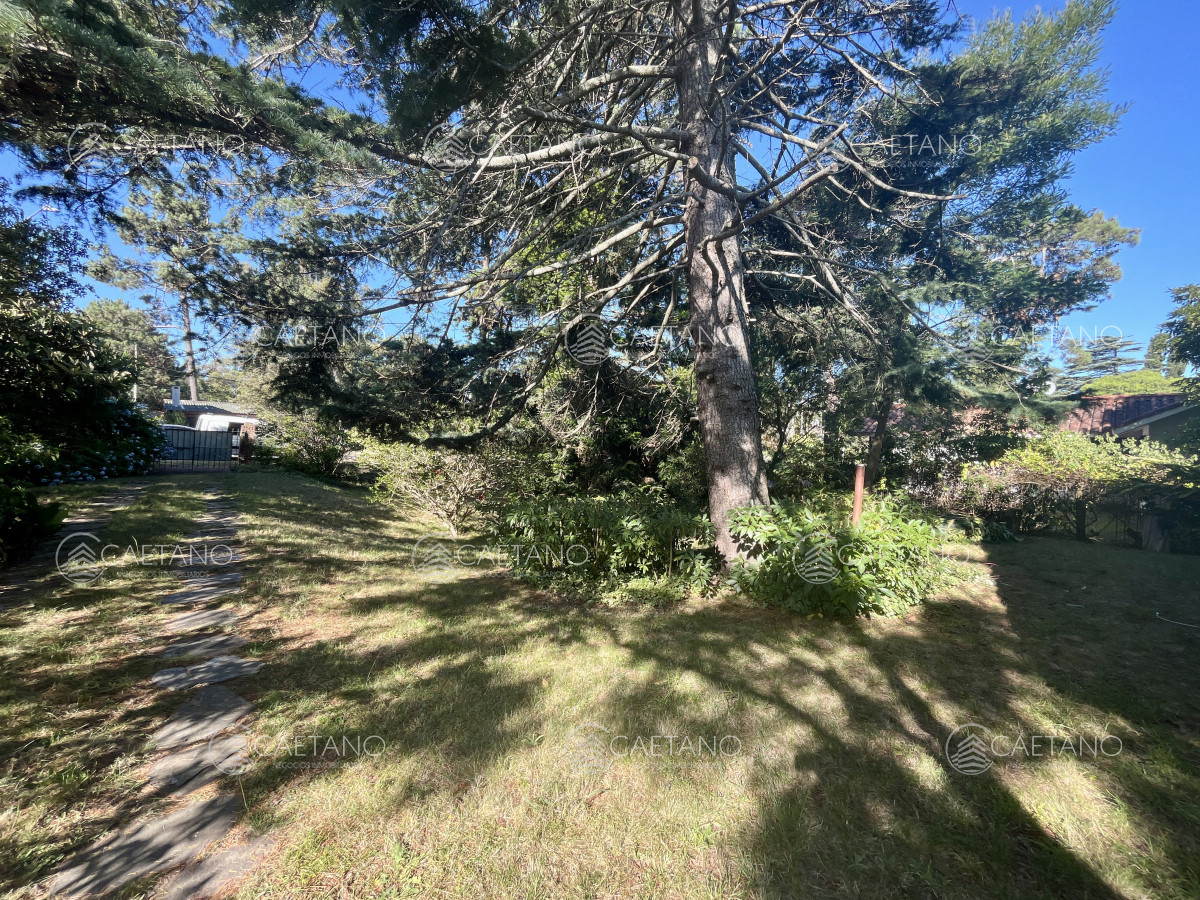 Pinares - GoPunta - Portal Inmobiliario de Punta del Este - Maldonado