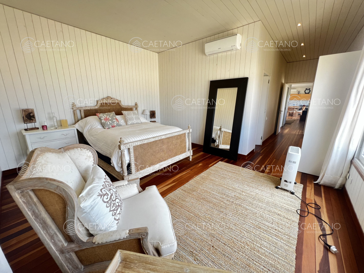 Chihuahua - GoPunta - Portal Inmobiliario de Punta del Este - Maldonado