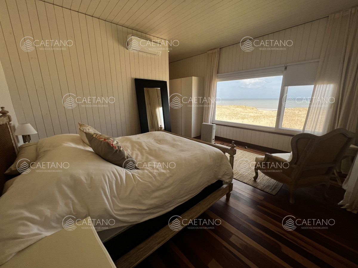 Chihuahua - GoPunta - Portal Inmobiliario de Punta del Este - Maldonado