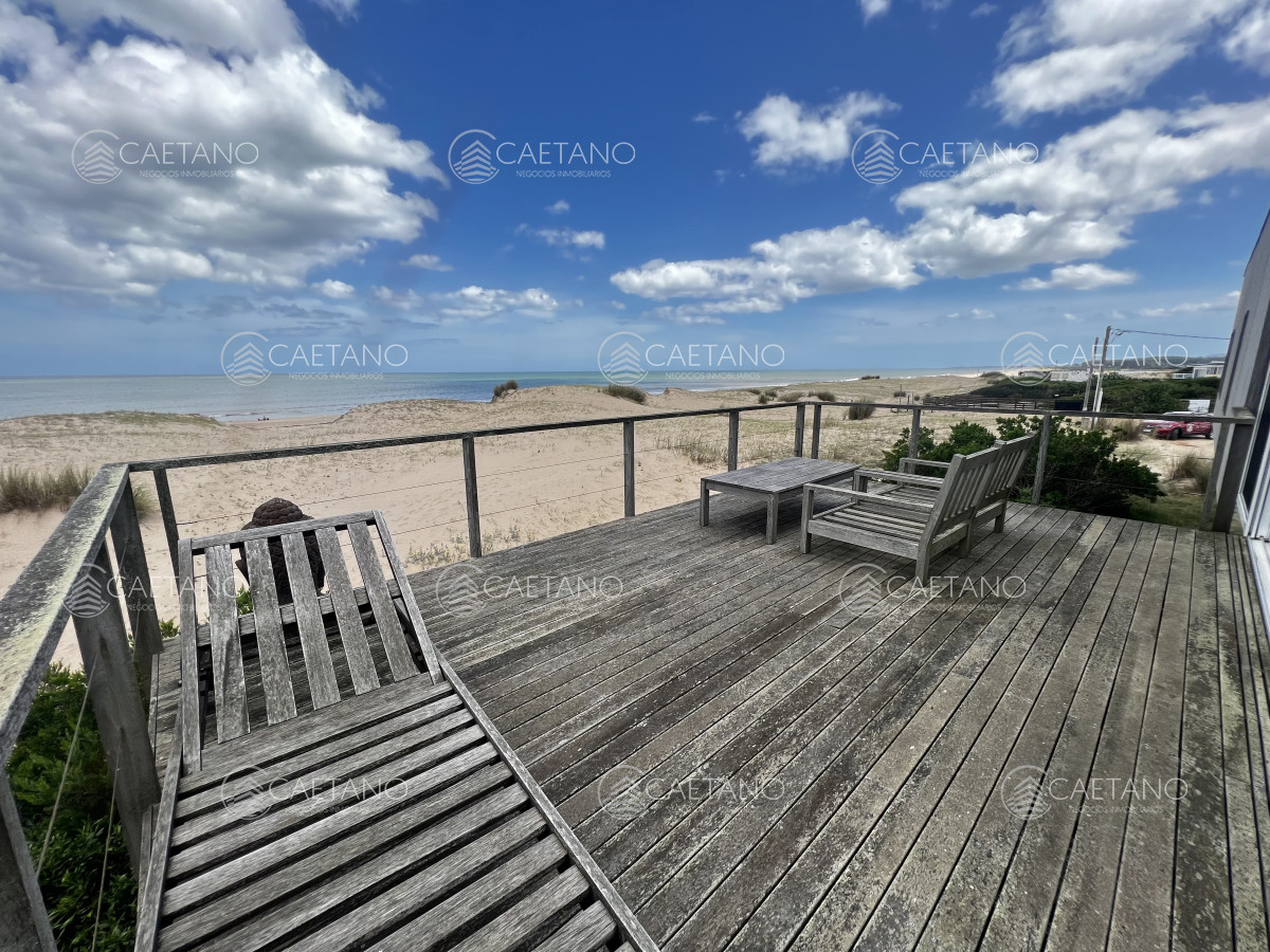 Chihuahua - GoPunta - Portal Inmobiliario de Punta del Este - Maldonado