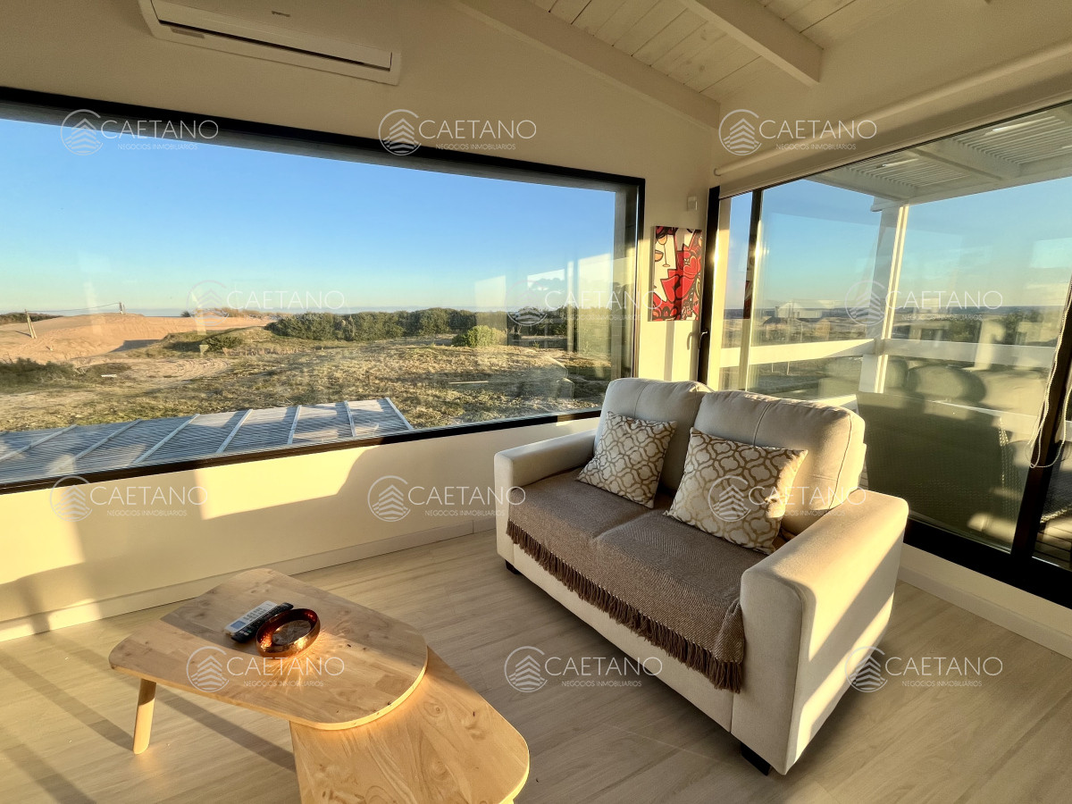 Chihuahua - GoPunta - Portal Inmobiliario de Punta del Este - Maldonado