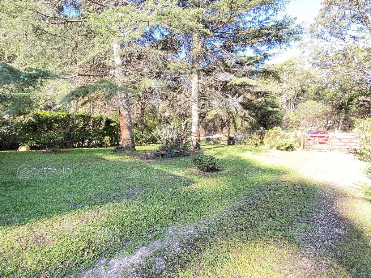 Punta Ballena - GoPunta - Portal Inmobiliario de Punta del Este - Maldonado