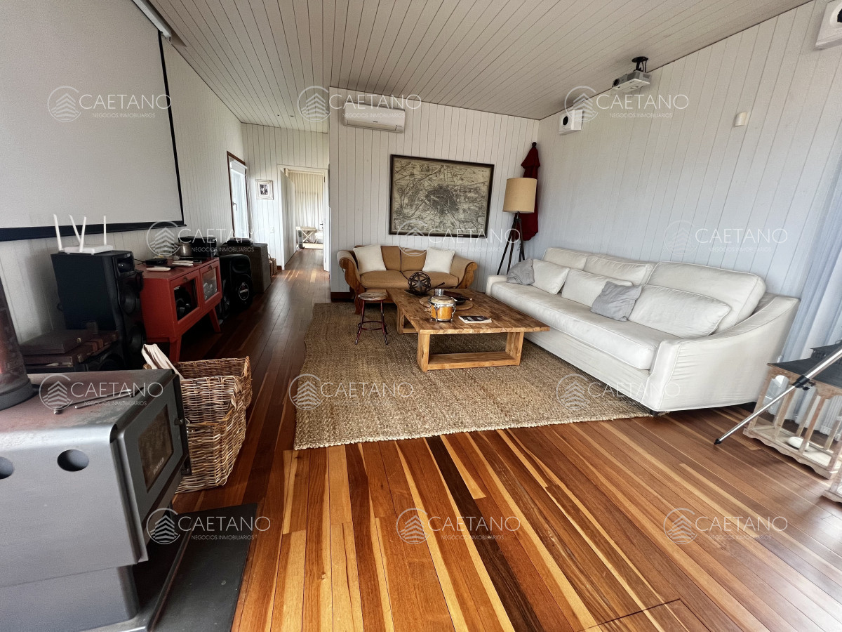 Chihuahua - GoPunta - Portal Inmobiliario de Punta del Este - Maldonado