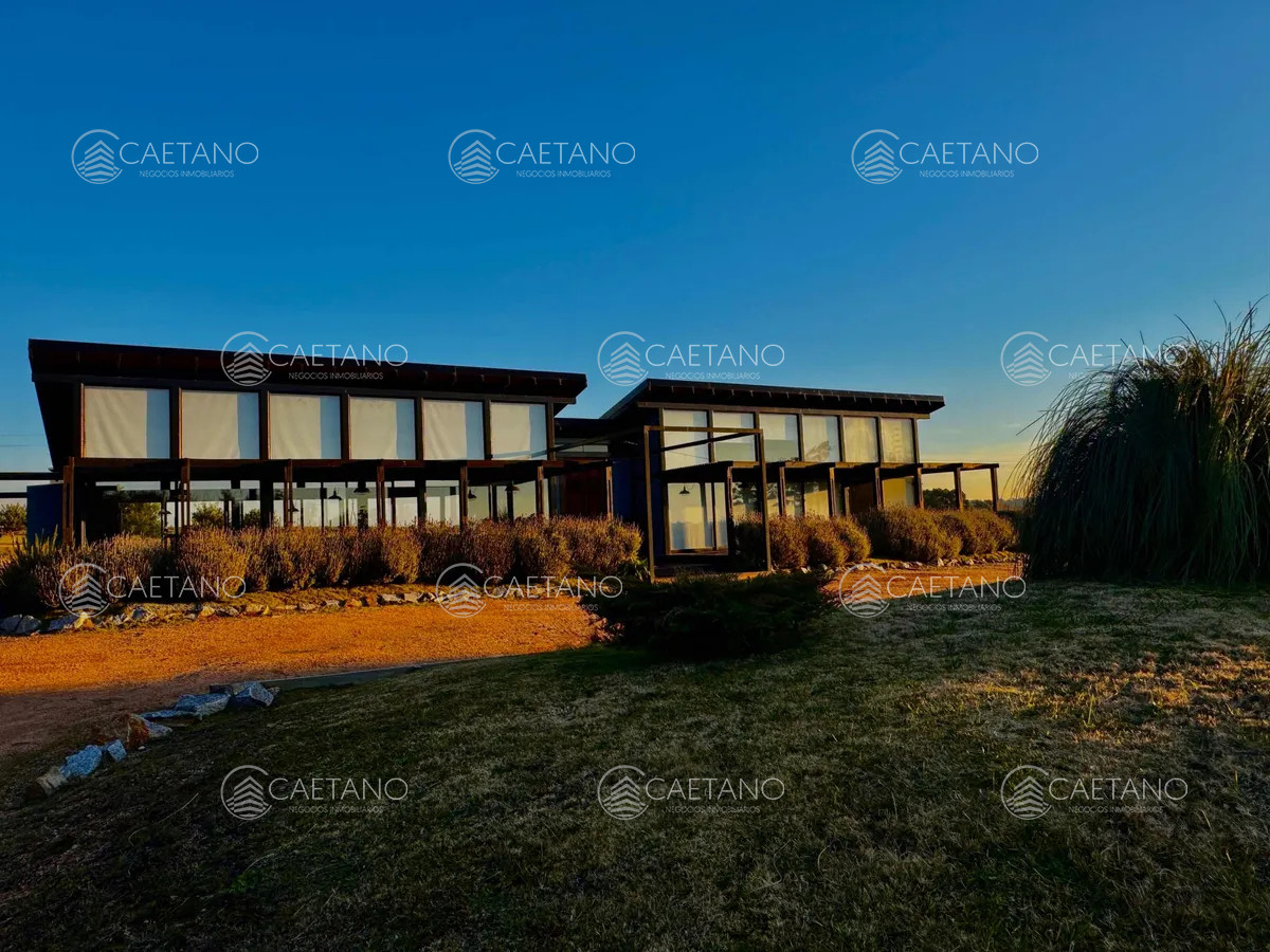 El Quijote - GoPunta - Portal Inmobiliario de Punta del Este - Maldonado