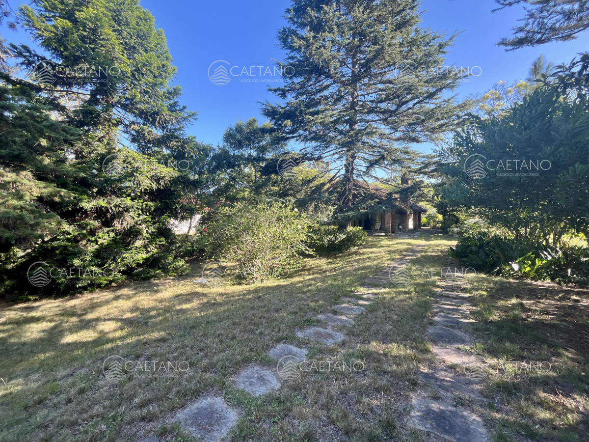 Pinares - GoPunta - Portal Inmobiliario de Punta del Este - Maldonado