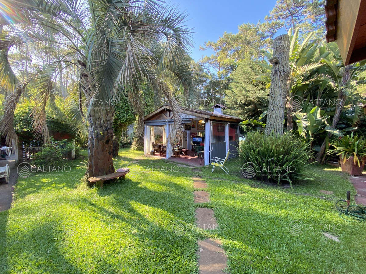 Punta Ballena - GoPunta - Portal Inmobiliario de Punta del Este - Maldonado
