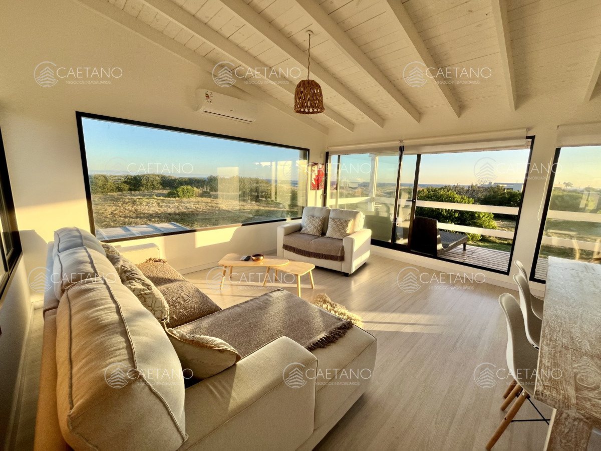 Chihuahua - GoPunta - Portal Inmobiliario de Punta del Este - Maldonado