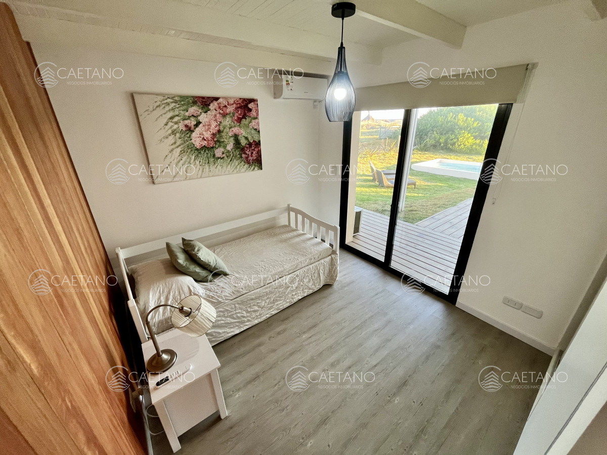 Chihuahua - GoPunta - Portal Inmobiliario de Punta del Este - Maldonado