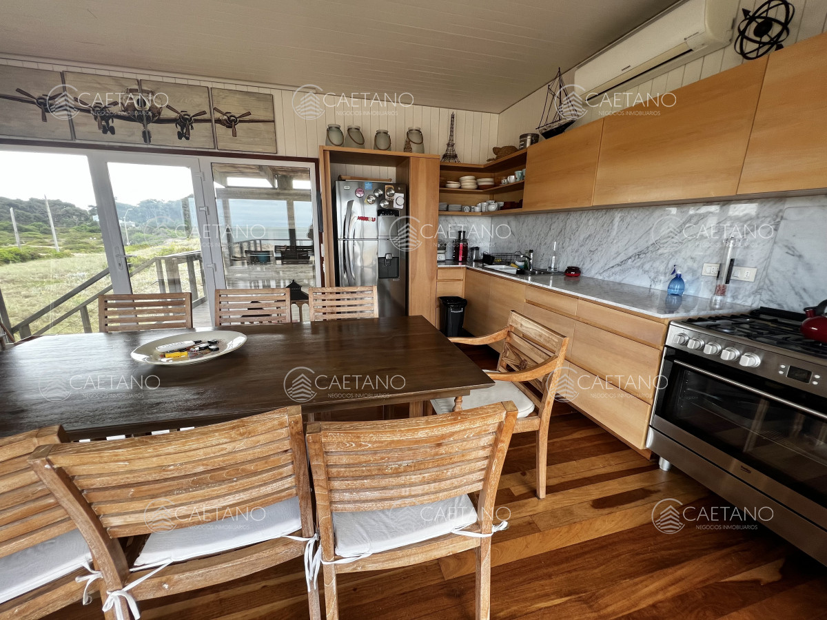 Chihuahua - GoPunta - Portal Inmobiliario de Punta del Este - Maldonado