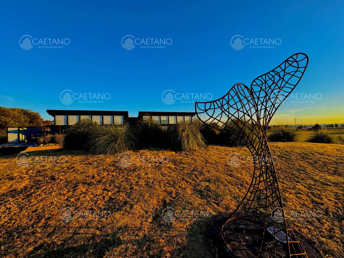 El Quijote - GoPunta - Portal Inmobiliario de Punta del Este - Maldonado