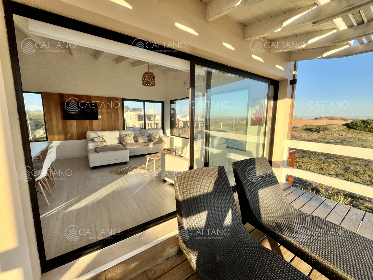 Chihuahua - GoPunta - Portal Inmobiliario de Punta del Este - Maldonado