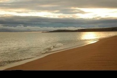 En alquiler anual, imperdible punto, excelentes vistas!!!
