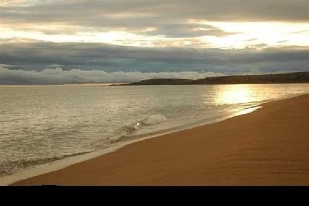 Alquiler anual, imperdible punto, excelentes vistas!!!