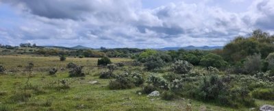 venta chacra ruta 12 Maldonado