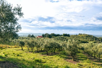 venta chacra 5 hectáreas. garzón, maldonado  - dmc12843h