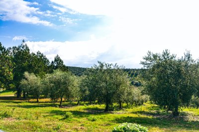 venta chacra 5 hectáreas. garzón, maldonado  - dmc12843h