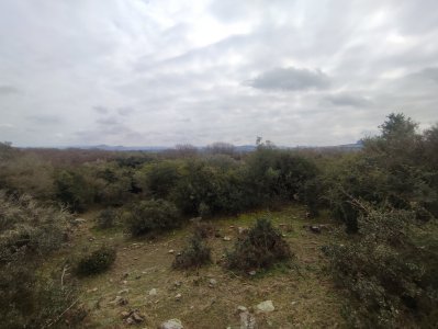 venta chacra 5 hectáreas ruta 12 Maldonado 