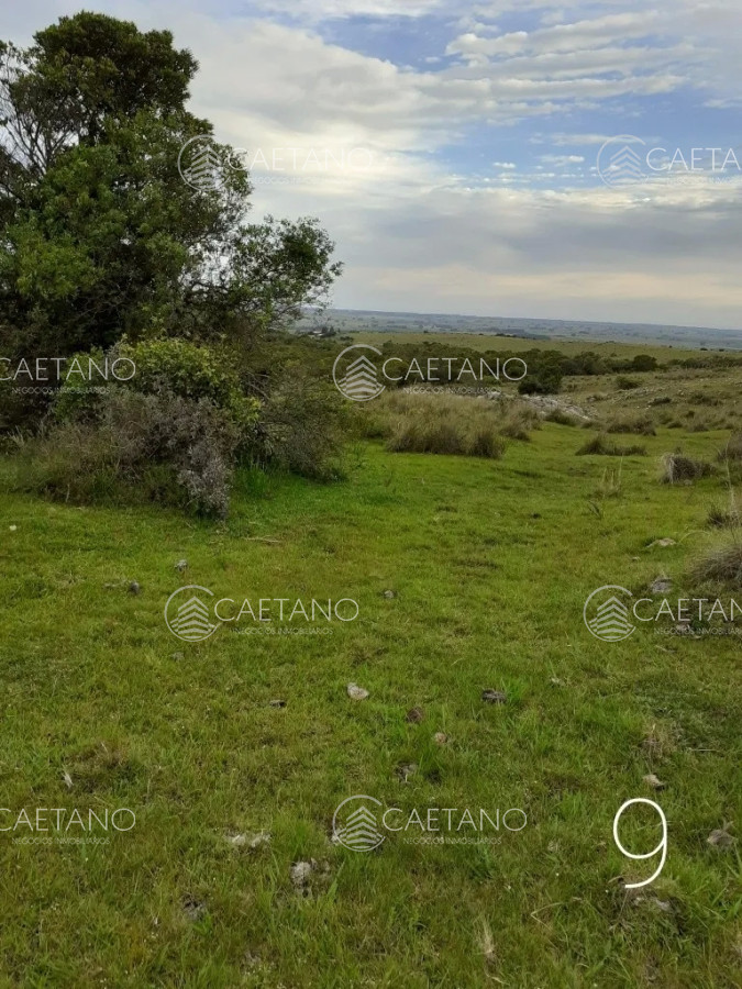 San Carlos - GoPunta - Portal Inmobiliario de Punta del Este - Maldonado