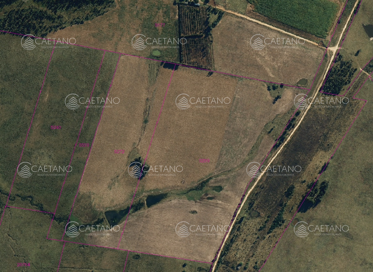 Venta chacra con 29 hectáreas Estación José Ignacio 