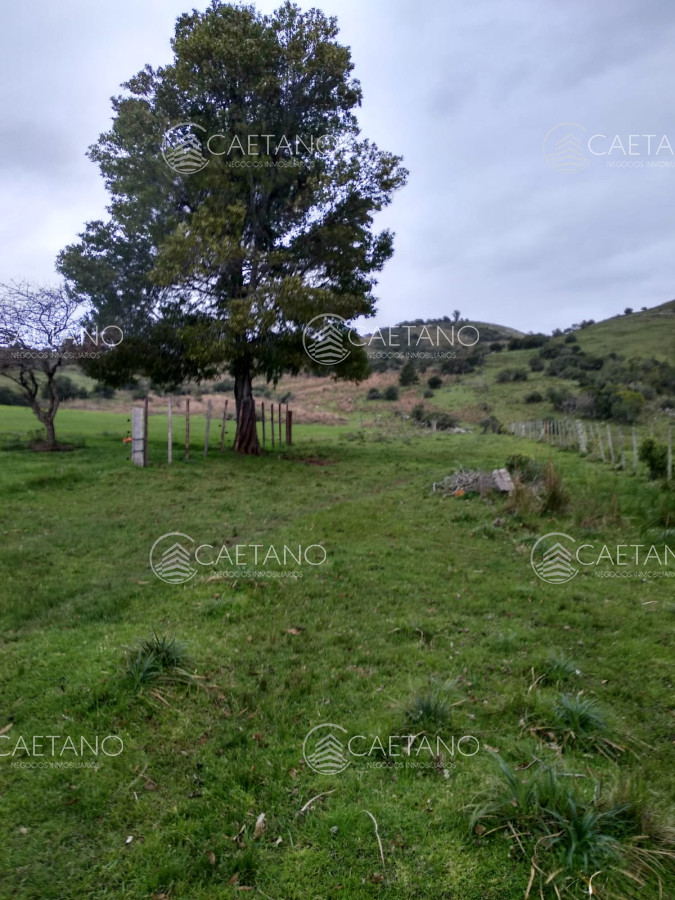 Vendo excelente chacra de 39 hectáreas para granja turística o tambo, Aiguá, Punta del Este