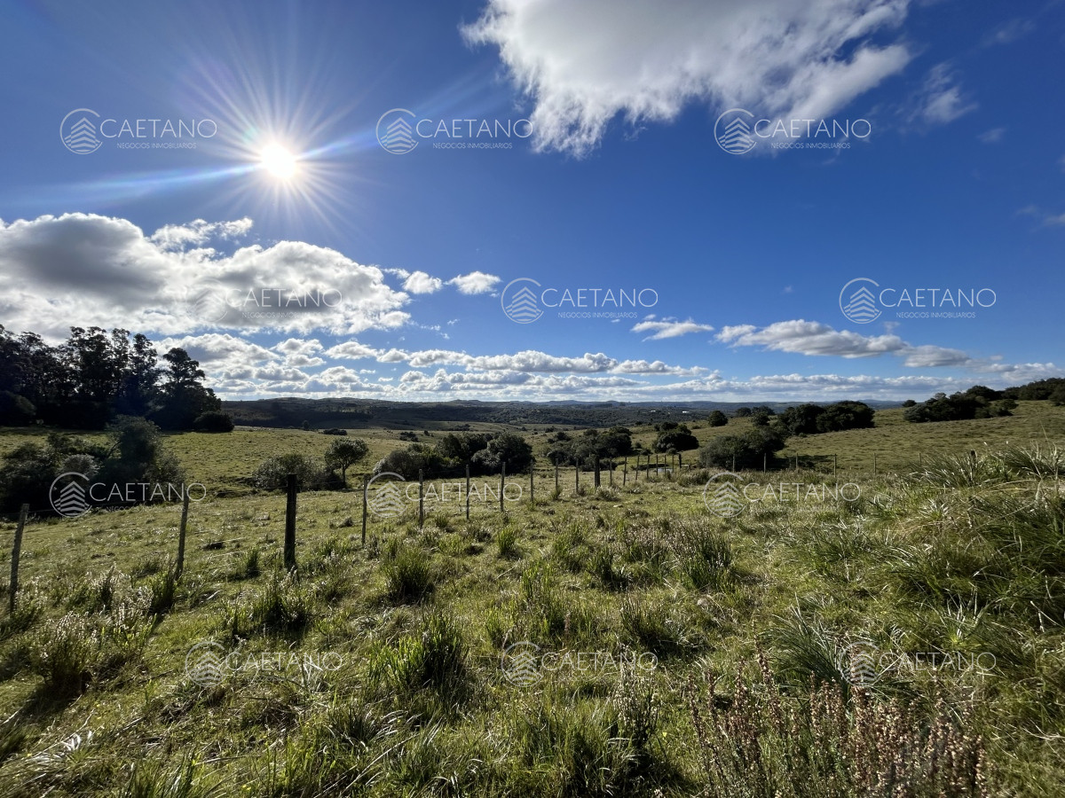 Pueblo Eden - GoPunta - Portal Inmobiliario de Punta del Este - Maldonado