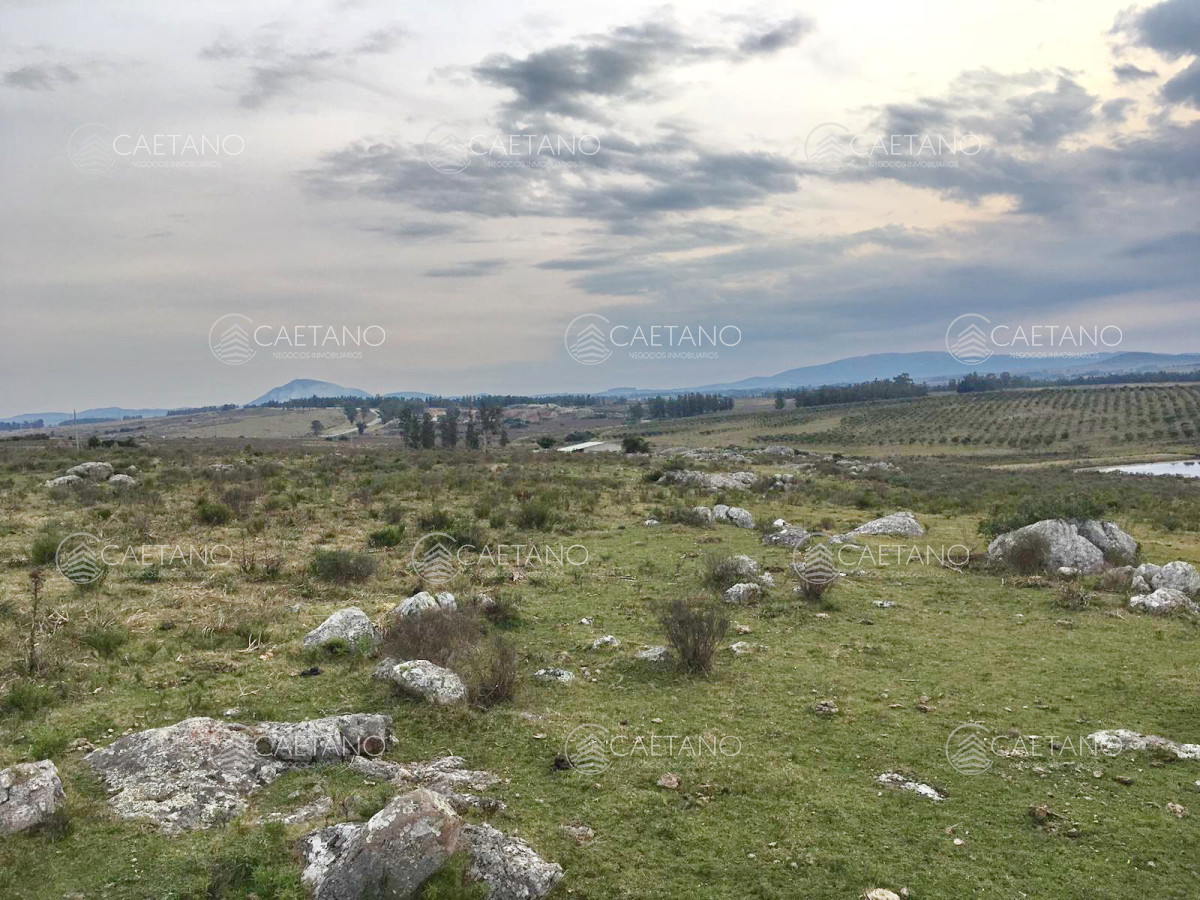 Zona Rural - GoPunta - Portal Inmobiliario de Punta del Este - Maldonado