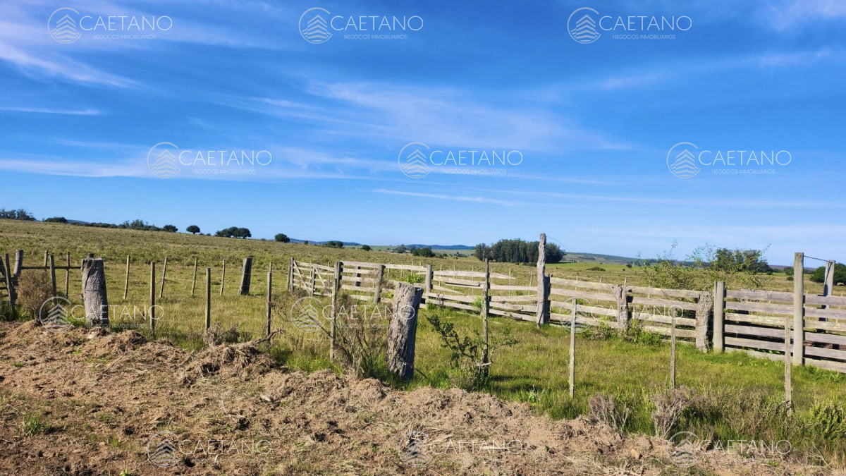Pueblo Eden - GoPunta - Portal Inmobiliario de Punta del Este - Maldonado