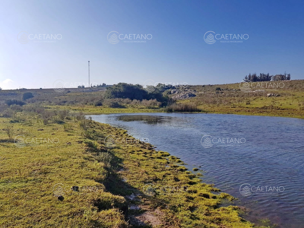 Zona Rural - GoPunta - Portal Inmobiliario de Punta del Este - Maldonado
