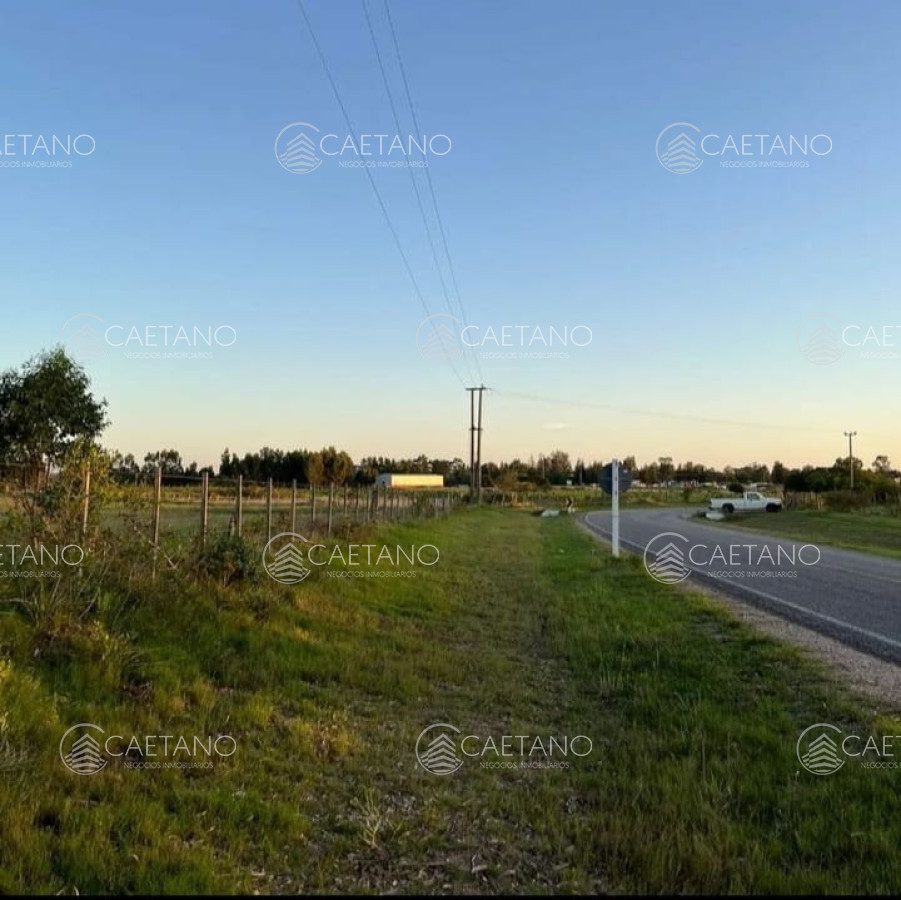 Zona Rural - GoPunta - Portal Inmobiliario de Punta del Este - Maldonado