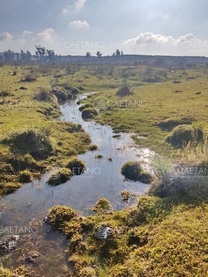 Zona Rural - GoPunta - Portal Inmobiliario de Punta del Este - Maldonado