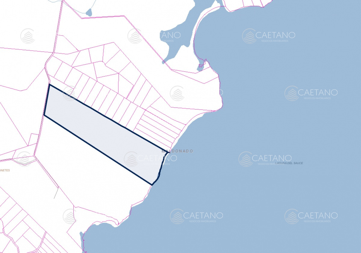 Laguna del Sauce - GoPunta - Portal Inmobiliario de Punta del Este - Maldonado